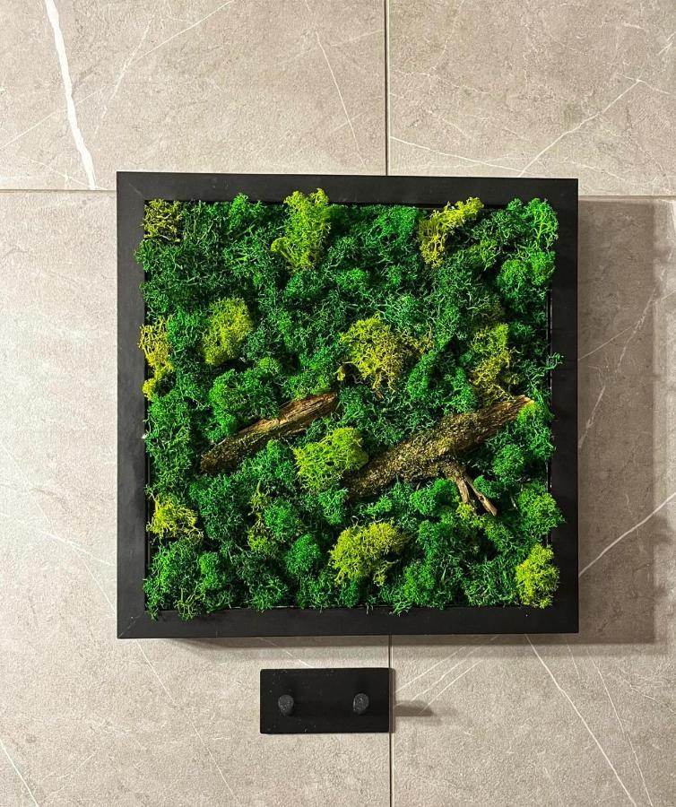 Moje Pieniny Apartament Szczawnica Zewnętrze zdjęcie