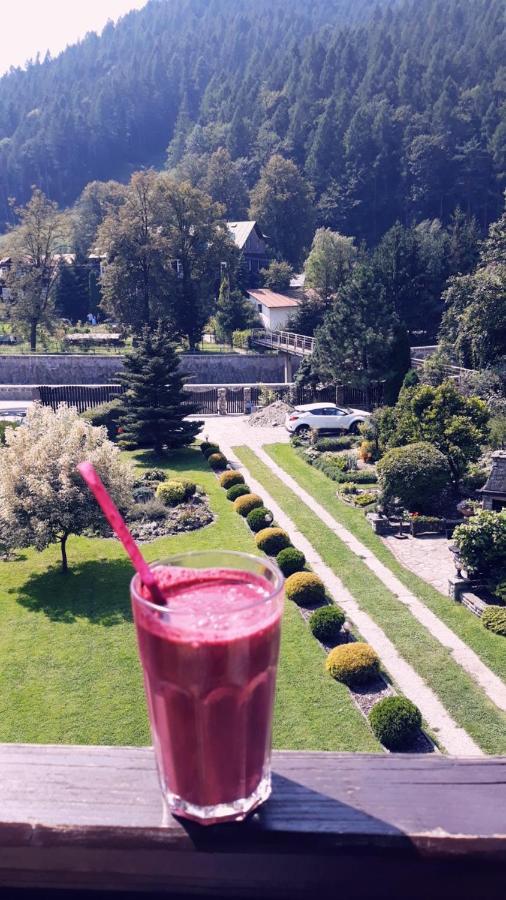 Moje Pieniny Apartament Szczawnica Zewnętrze zdjęcie